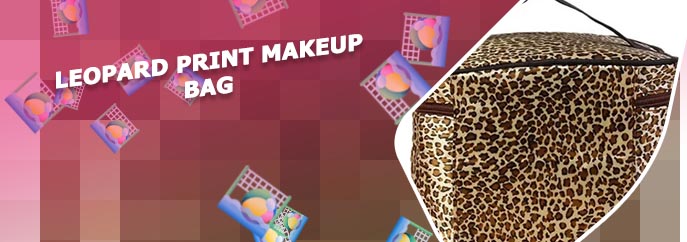 Leopard print make up bag