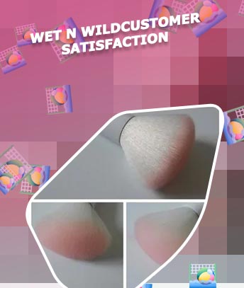 Wet n wild powder brush